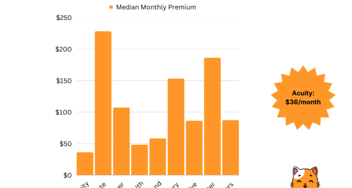 Cheapest Car Insurance In Texas